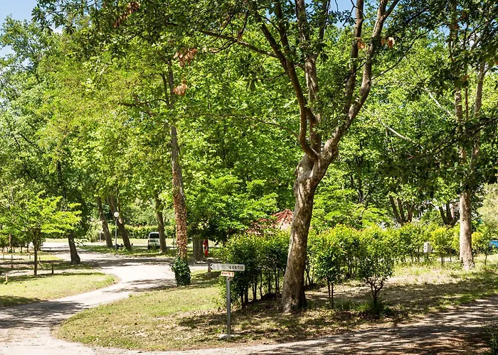 Camping Les Rives Du Lac De Vinca